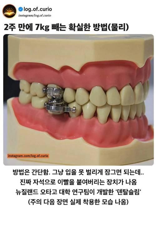 물리적으로 2주 만에 7kg 빼는 확실한 방법