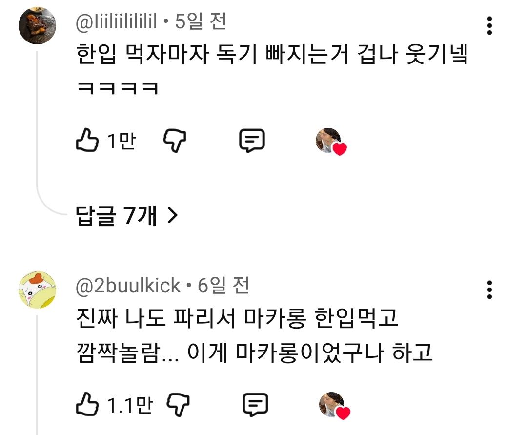 댓글 반응 난리난 파리 여행 디저트..
