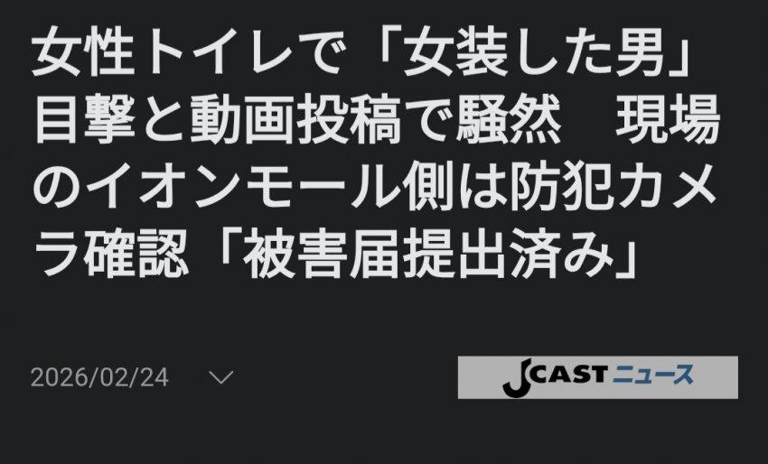 싱글벙글 일본 쇼핑몰 여자화장실에 들어온 여장남자