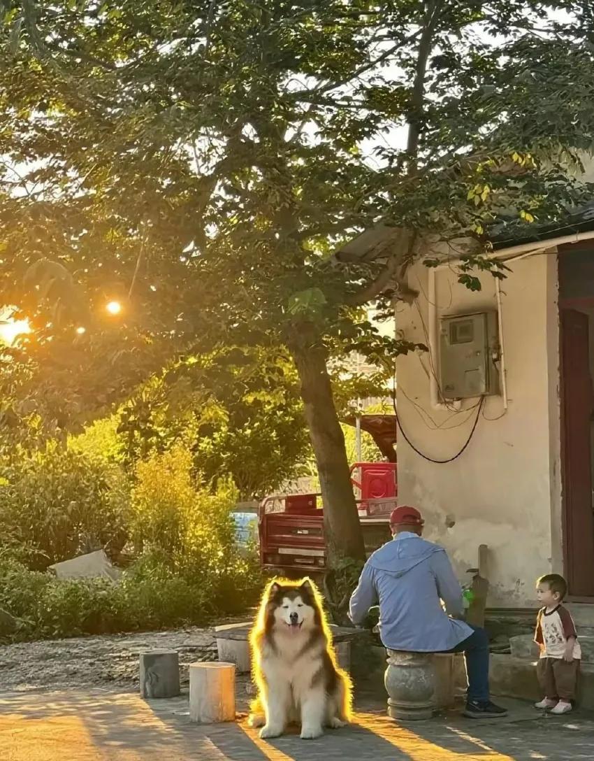 자연이 만든 윤곽선