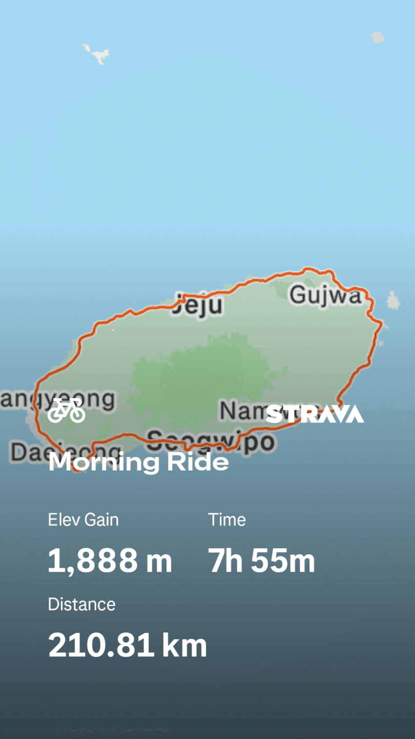 200KM LSD 실패
