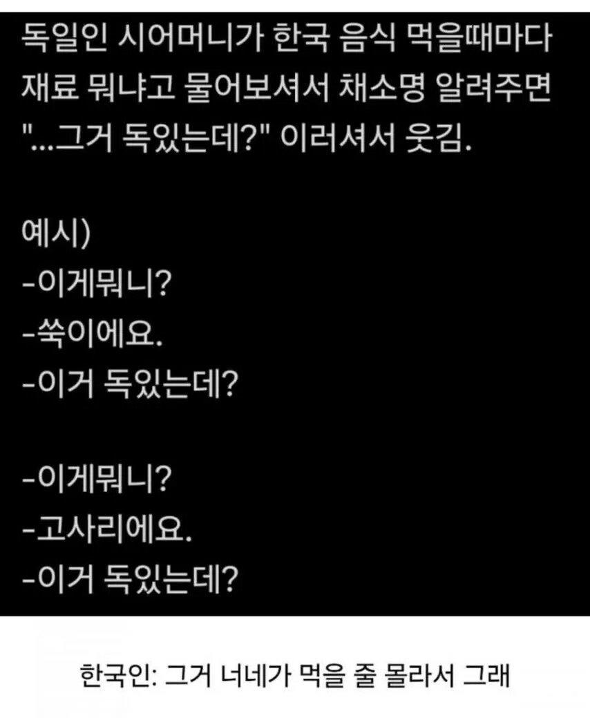 시어머니를 독살하려고 하는 한국인 며느리