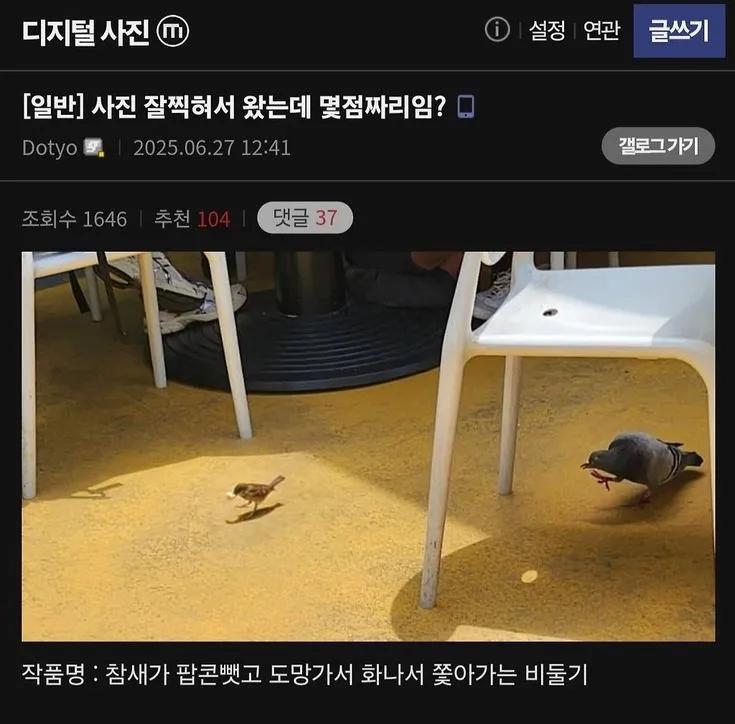 ???: 사진 찍어 봤는데 몇점짜리 임?