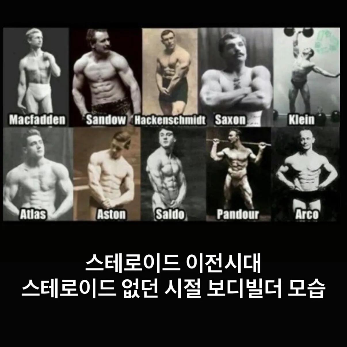 [스압] 사실상 약물없이 만들 수 있는 몸의 한계치
