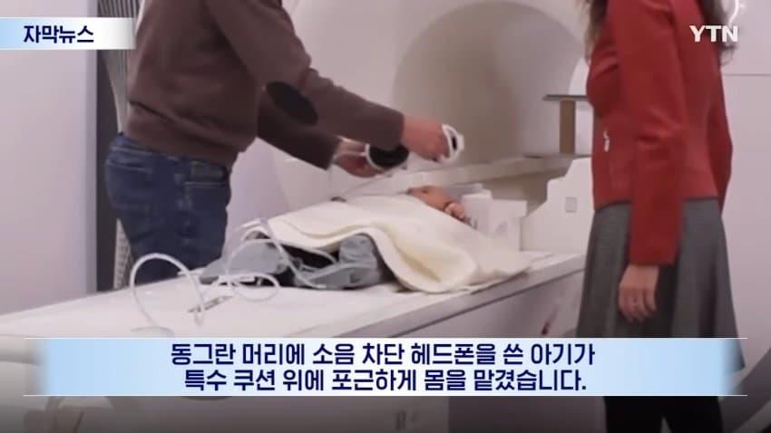 싱글벙글 의외로 생각보다 정교한 아기들의 뇌