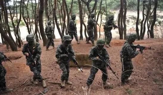 군대에서 소총병을 절대 5명씩 묶어서 편성하지 않는 이유